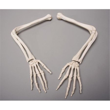 SKELETONS AND MORE Skeletons and More SM370DL Left Skeleton Arm SM370DL